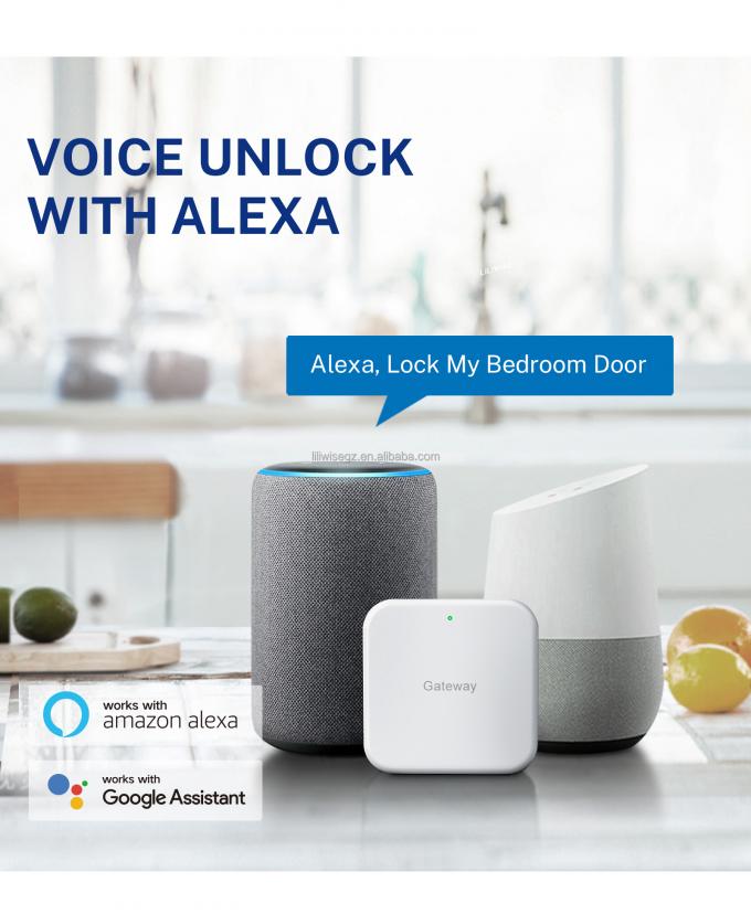 Tuya WiFi BLE Smart Door Lock พร้อมลายนิ้วมือและคีย์พาด 4