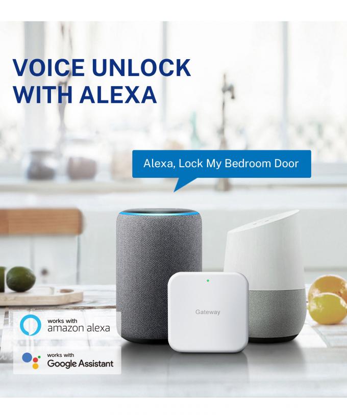 Liliwise Security Digital Doorbell Tuya Wifi Smart Fingerprint Lock Face Recognition Camera กล้องจับหน้า กล้องจับประตู กล้องจับประตู 24