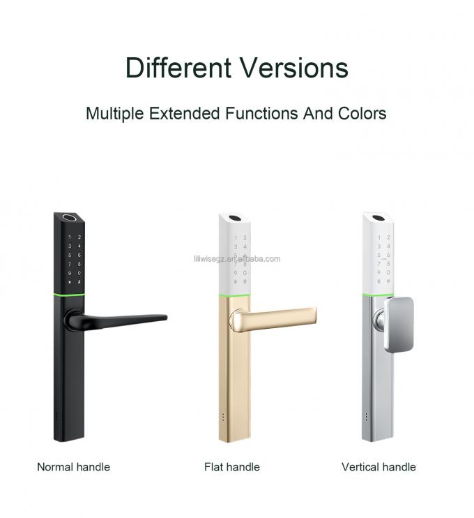 LILIWISE High Quality Manufacturer Smart Lock 2025 Tuya Wifi BLE Waterproof TTLOCK Slim Smart Door Lock 3