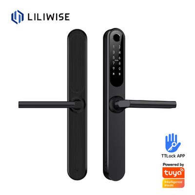 Liliwise กันน้ํา อเล็กซ่า อลูมิเนียม เหล็ก Ip66 ล็อคประตูสมาร์ทลายนิ้วมือ Cerradura Electronica Ttlock ล็อคสมาร์ทด้วย Wifi